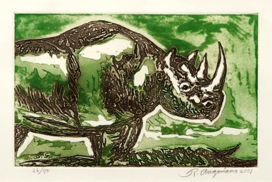 Rhinoceros by Raul Anguiano