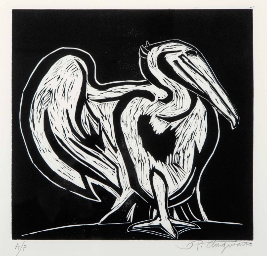 Pelicano de Anguiano by Raul Anguiano