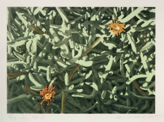 Ice Plant by Don W. Hendricks
